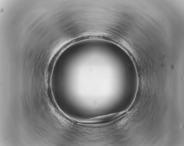 X0000086991124200704231838