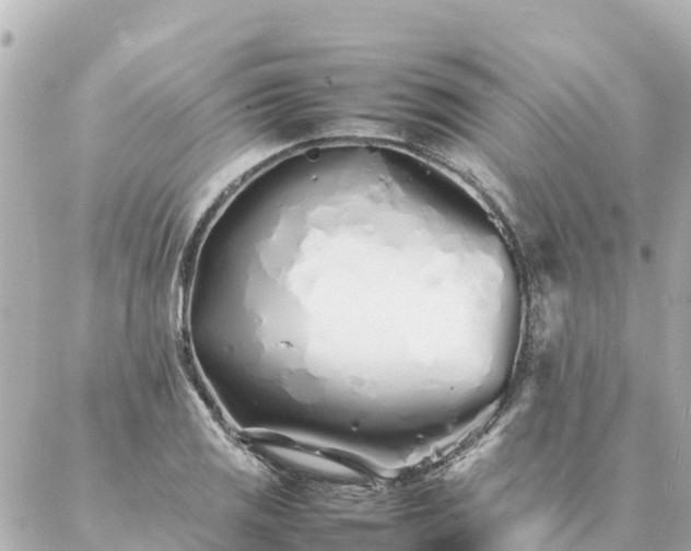 X0000086991125200704231838