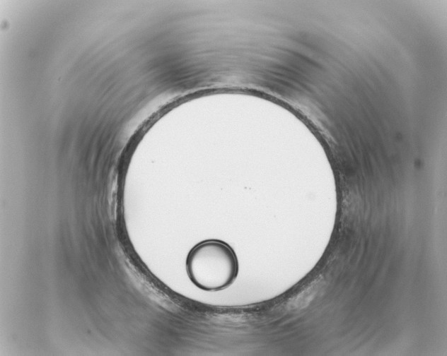 X0000086991126200704231838