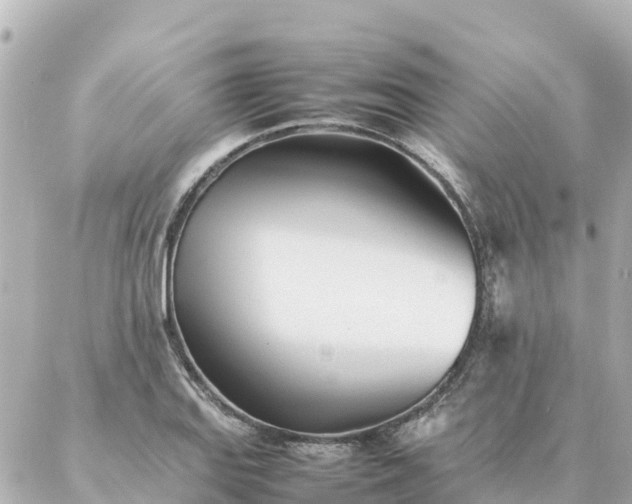 X0000086991127200704231838