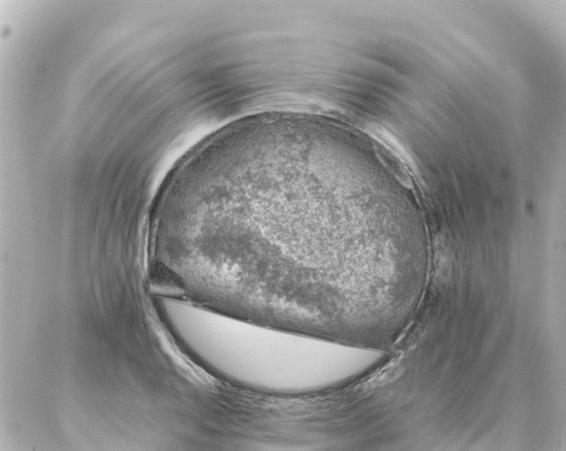 X0000086991128200704231838