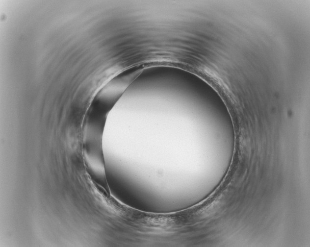 X0000086991129200704231838