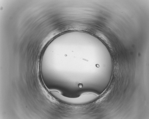 X0000086991130200704231838