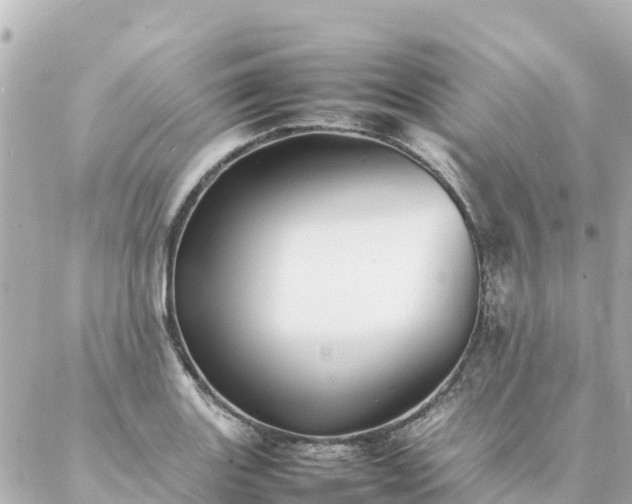 X0000086991131200704231838