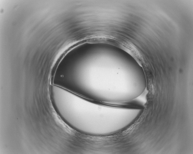 X0000086991132200704231838