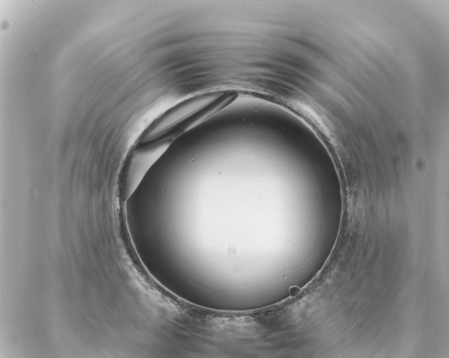 X0000086991133200704231838