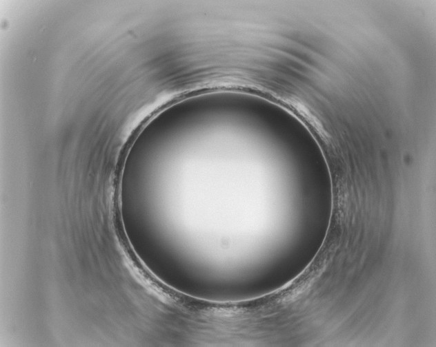 X0000086991134200704231838