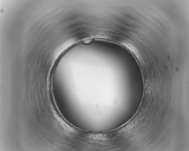 X0000086991135200704231838