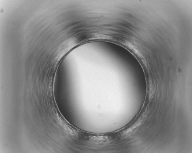 X0000086991137200704231838