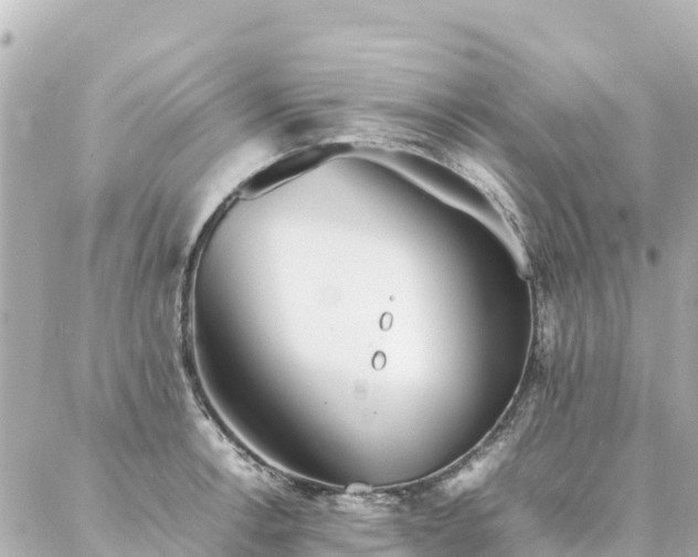 X0000086991138200704231838