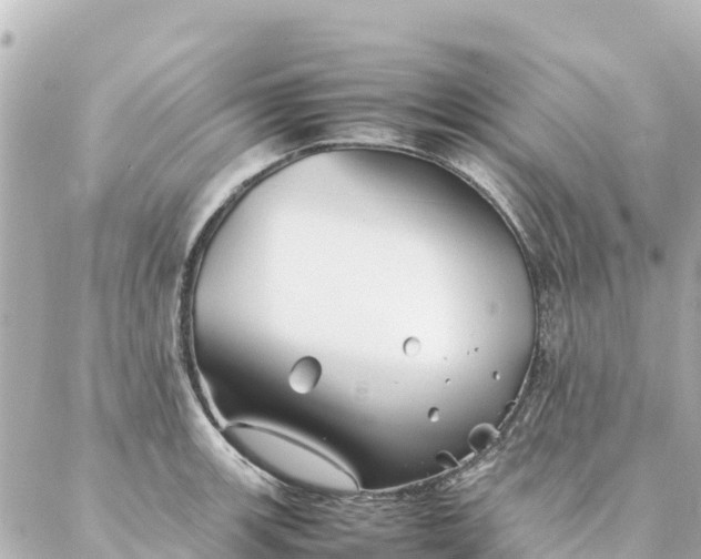 X0000086991139200704231838