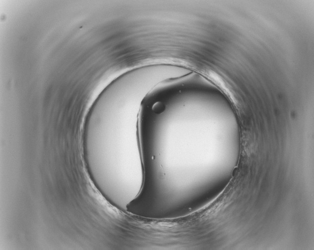 X0000086991140200704231838