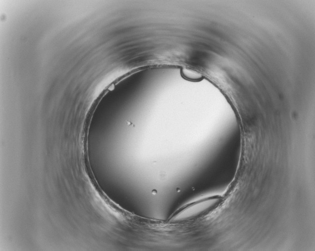 X0000086991141200704231838