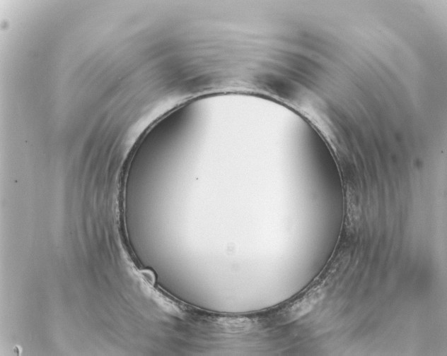 X0000086991142200704231838