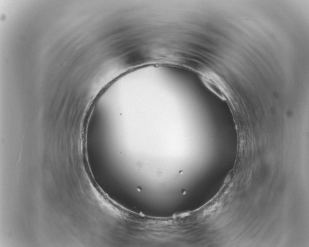 X0000086991143200704231838