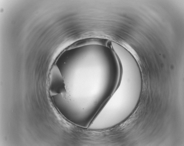 X0000086991144200704231838