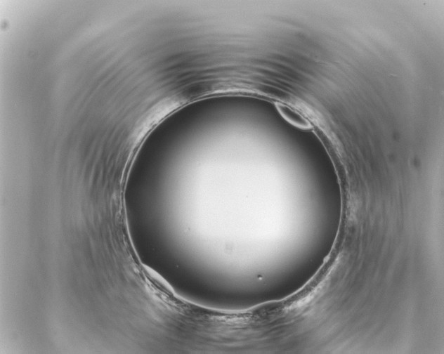 X0000086991145200704231838