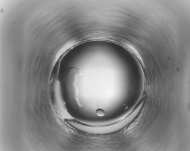 X0000086991146200704231838