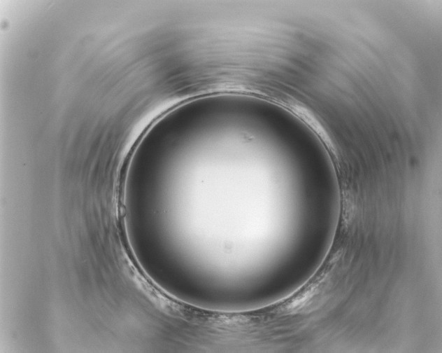 X0000086991148200704231838