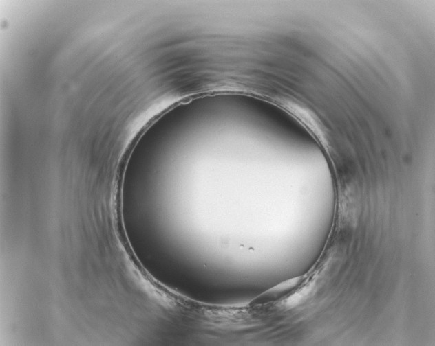 X0000086991149200704231838