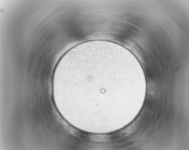 X0000086991150200704231838