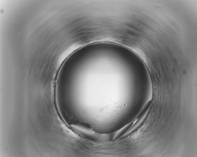 X0000086991151200704231838