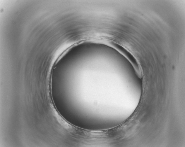 X0000086991152200704231838