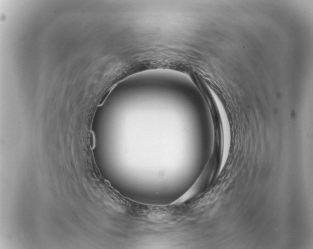 X0000086991153200704231838