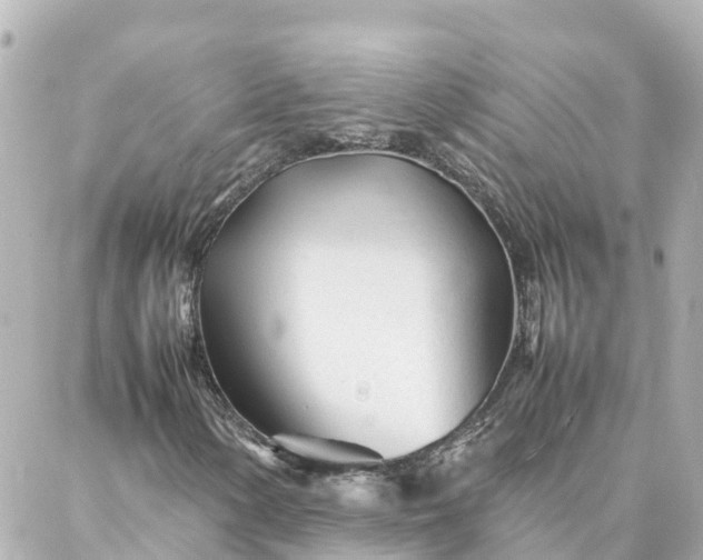 X0000086991154200704231838