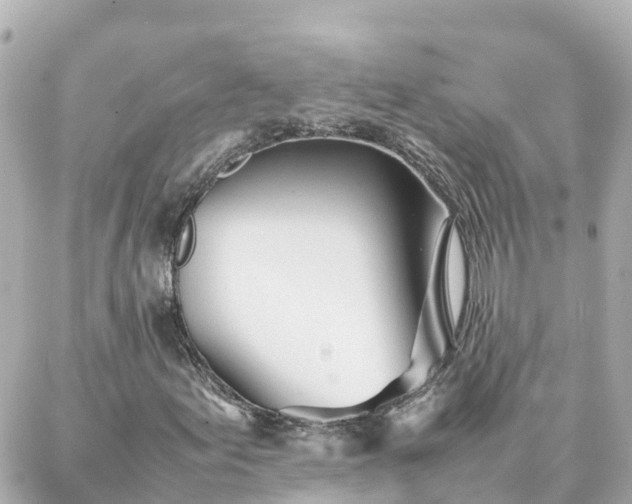 X0000086991155200704231838