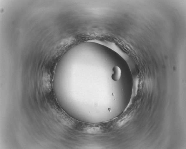 X0000086991156200704231838