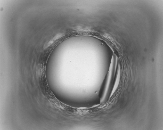 X0000086991157200704231838