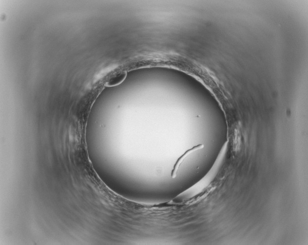 X0000086991158200704231838