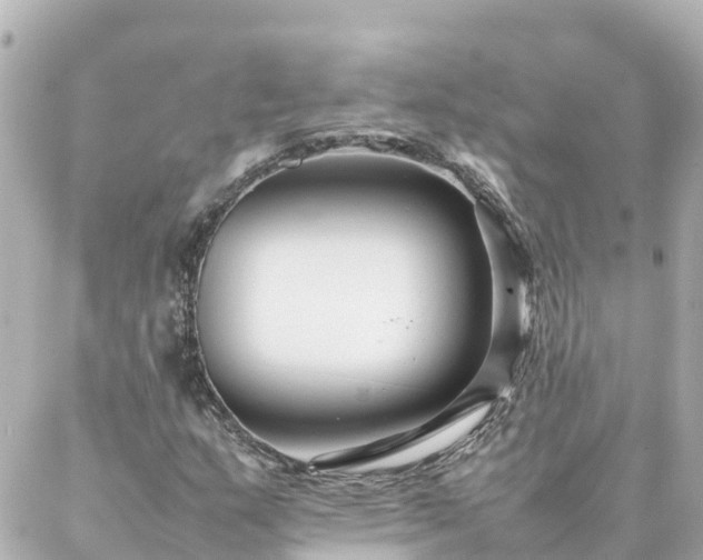 X0000086991159200704231838