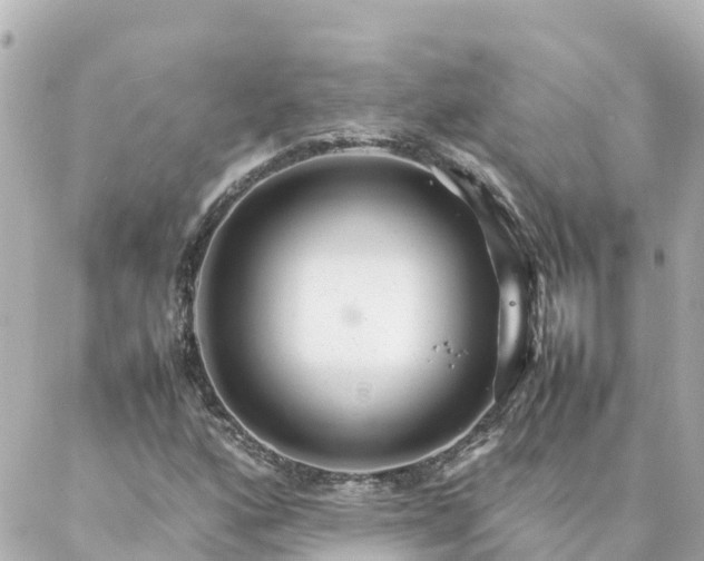 X0000086991160200704231838