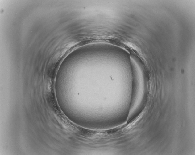 X0000086991161200704231838