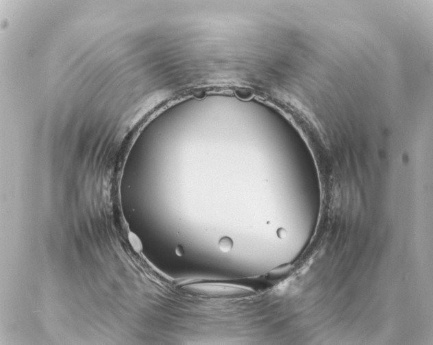 X0000086991162200704231838