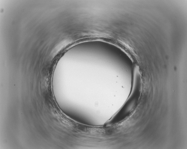 X0000086991163200704231837