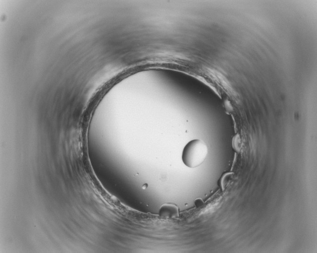 X0000086991164200704231837