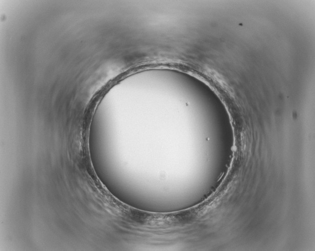 X0000086991165200704231837