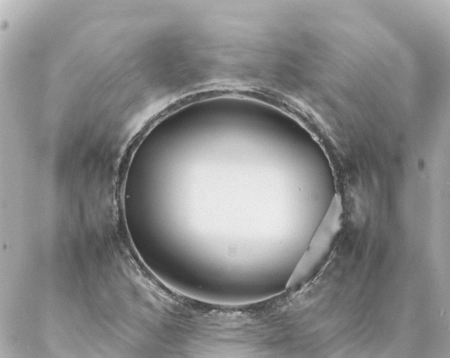 X0000086991168200704231837