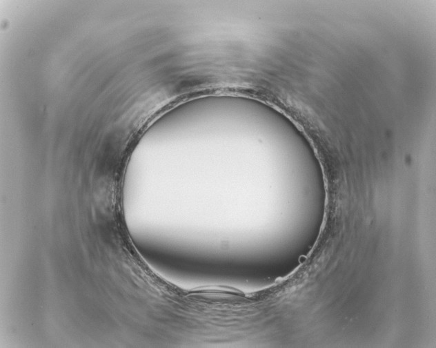 X0000086991169200704231837