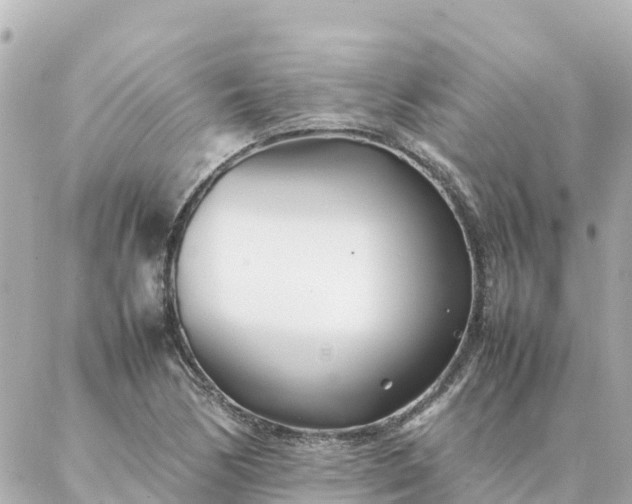 X0000086991170200704231837