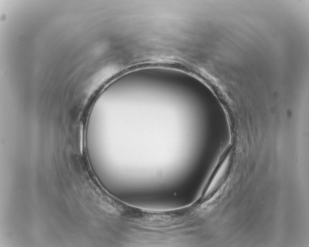 X0000086991171200704231837