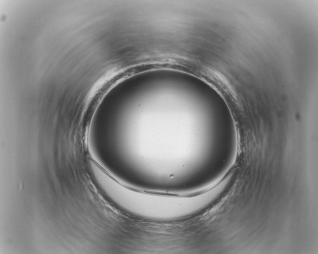 X0000086991172200704231837