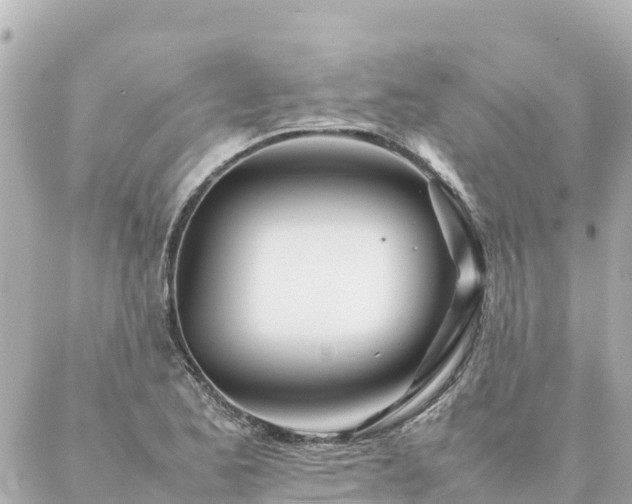 X0000086991173200704231837