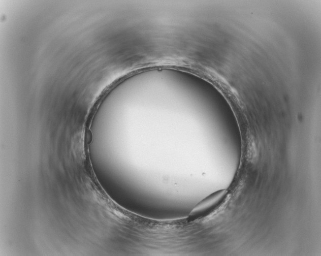 X0000086991174200704231837