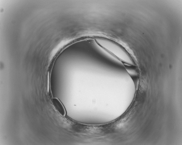 X0000086991175200704231837