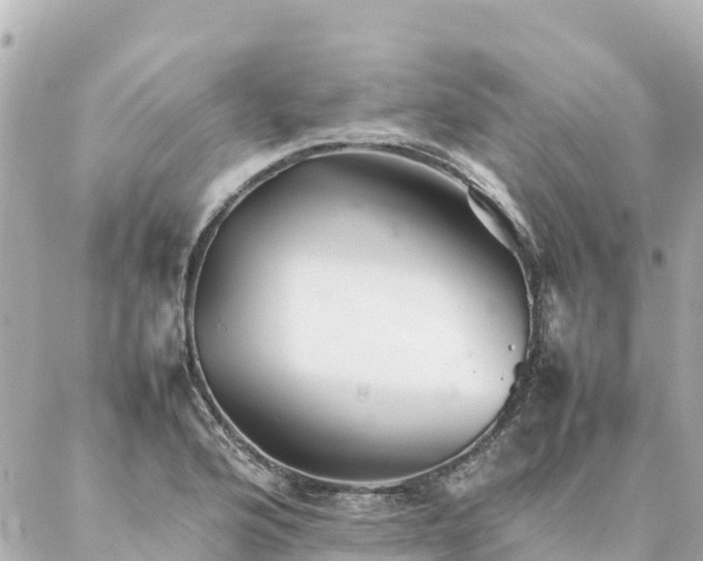 X0000086991176200704231837