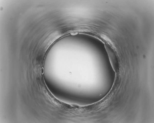 X0000086991177200704231837